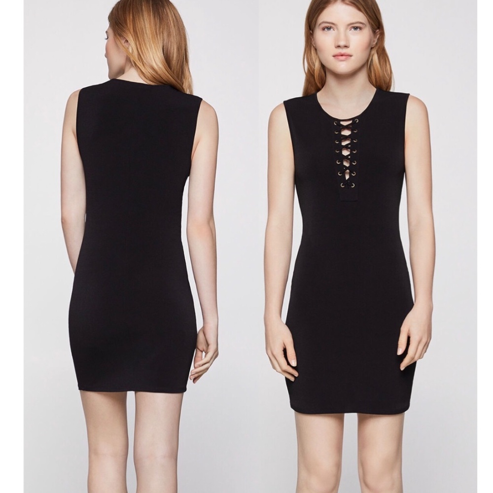 BCBG Sleeveless Laced Bodycon Dress